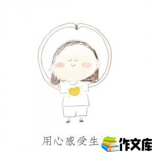 用心的去生活