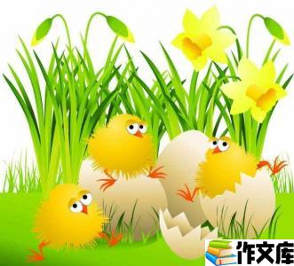 我的小鸡