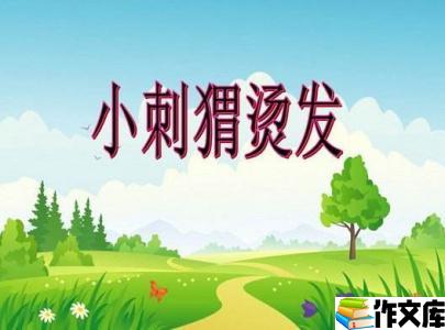 小刺猬烫发