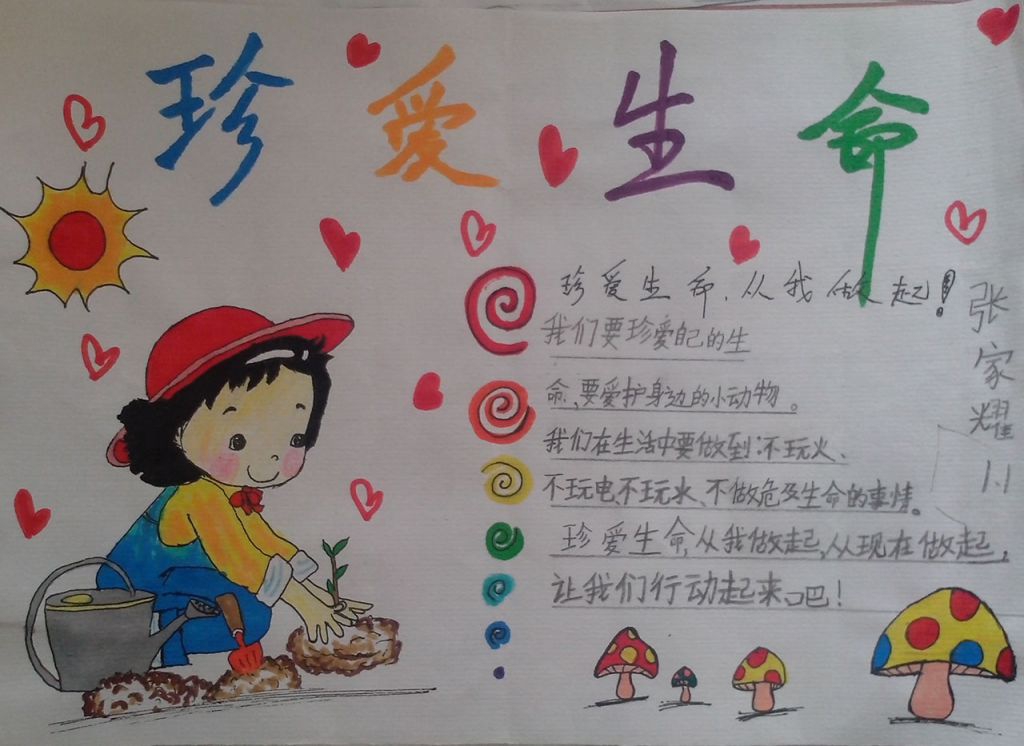 珍爱生命手抄小报图片 珍爱生命手抄小报图片