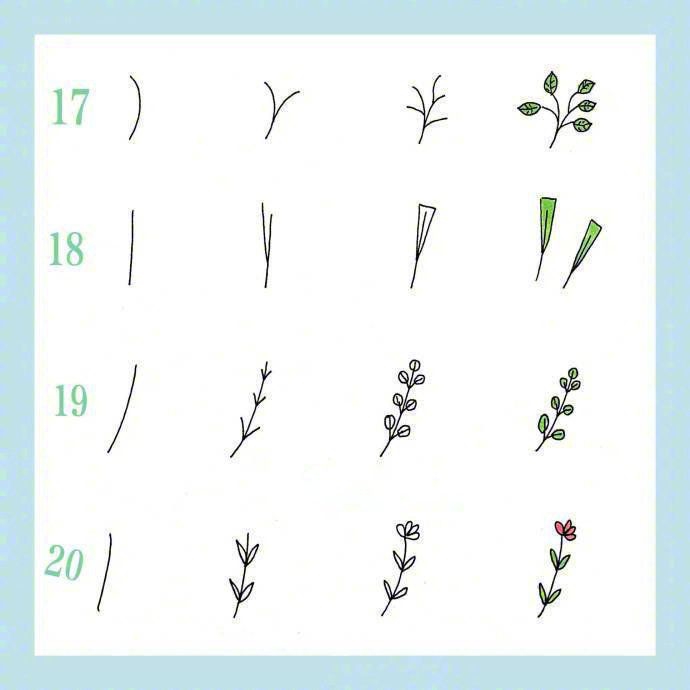 24种花草植物的画法，点亮你的手抄报