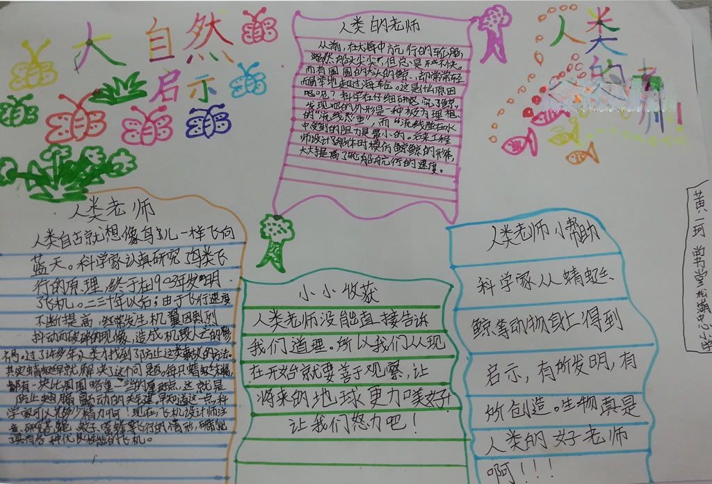 大自然的启示手抄报图片大全 大自然的启示手抄报图片大全