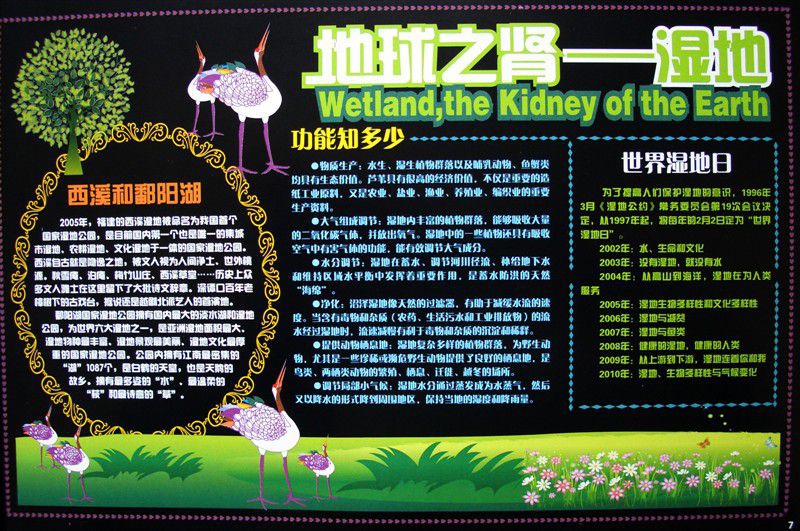 保护湿地手抄报(电子版) 保护湿地手抄报(电子版)