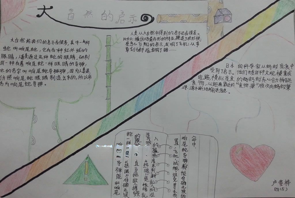 大自然的启示手抄报图片大全 大自然的启示手抄报图片大全