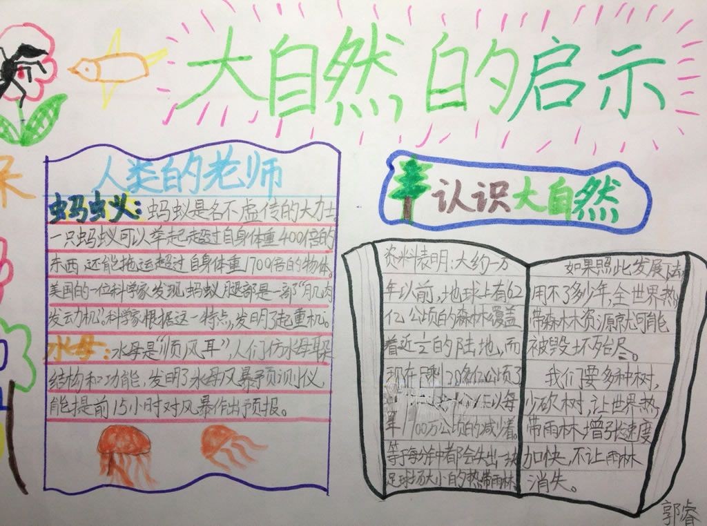 关于大自然的手抄报图片 关于大自然的手抄报图片