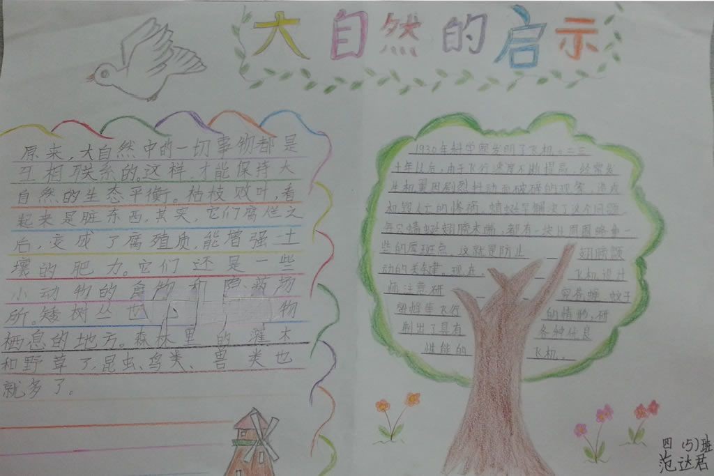 大自然的启示手抄报图片大全 大自然的启示手抄报图片大全