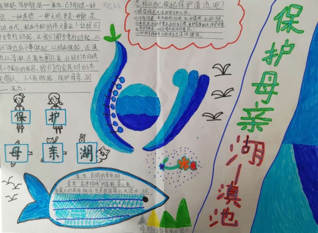 保护母亲湖滇池手抄报 保护母亲湖滇池手抄报