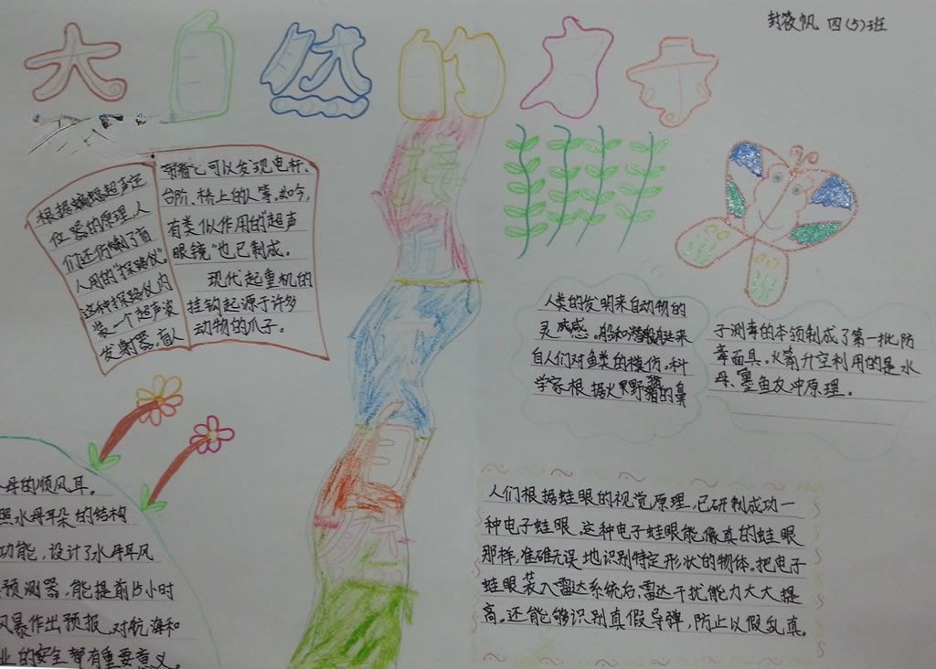 大自然的启示手抄报图片大全 大自然的启示手抄报图片大全
