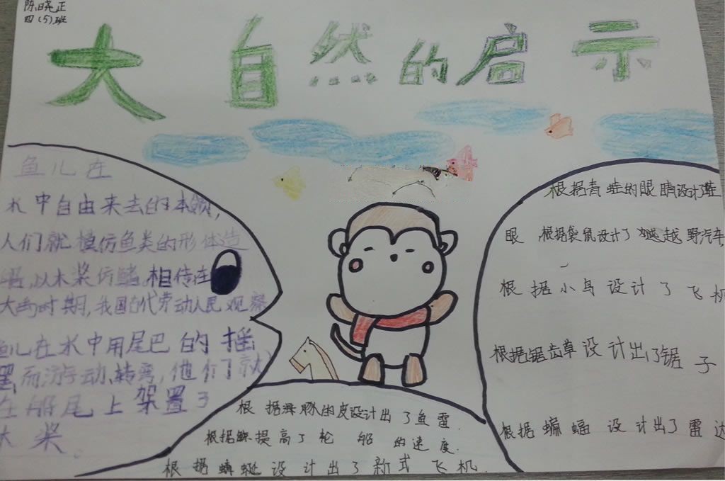 大自然的启示手抄报图片大全 大自然的启示手抄报图片大全