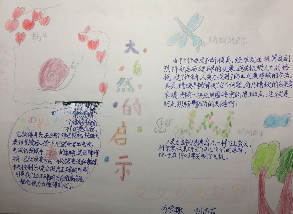 关于大自然的手抄报图片 关于大自然的手抄报图片