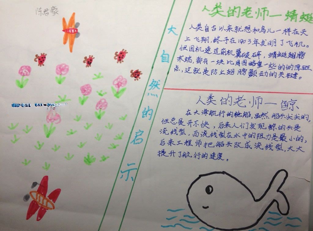 关于大自然的手抄报图片 关于大自然的手抄报图片