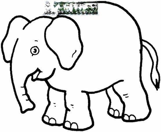 幼儿简笔画图片大全 幼儿简笔画图片大全