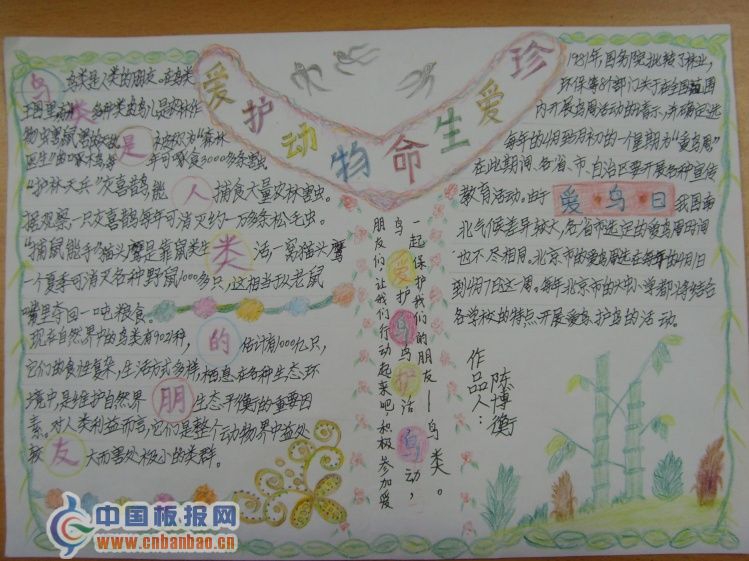 爱鸟日手抄报-爱护动物珍爱生命 爱鸟日手抄报-爱护动物珍爱生命