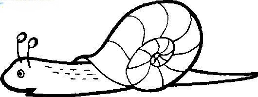 幼儿简笔画图片大全 幼儿简笔画图片大全