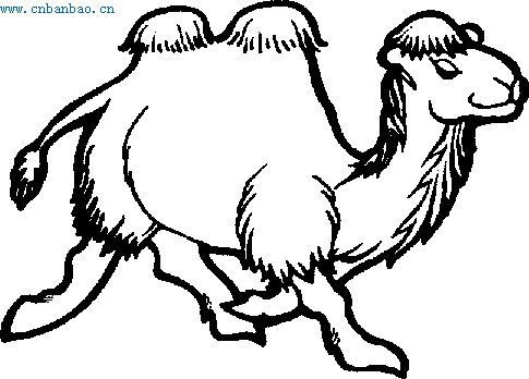 幼儿简笔画图片大全 幼儿简笔画图片大全