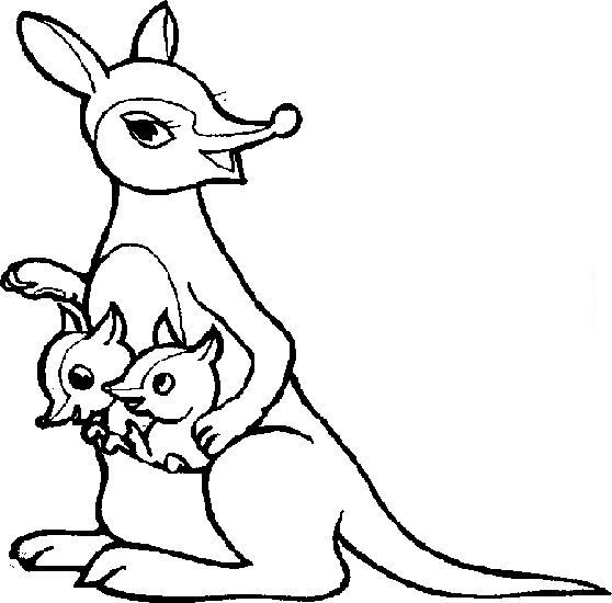 幼儿简笔画图片大全 幼儿简笔画图片大全