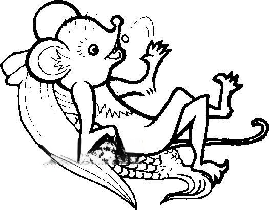 幼儿简笔画图片大全 幼儿简笔画图片大全