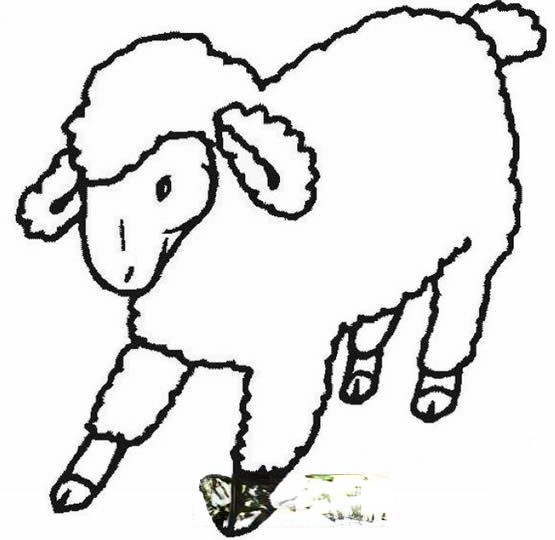 幼儿简笔画图片大全 幼儿简笔画图片大全