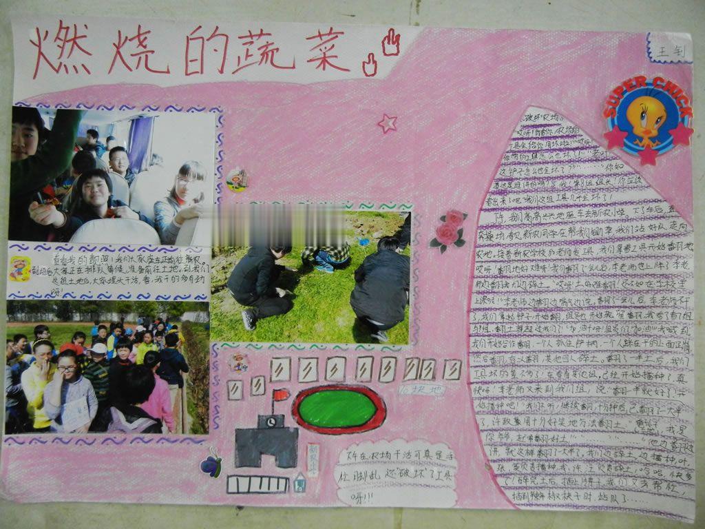 种植手抄报图片大全_燃烧的蔬菜手抄报 种植手抄报图片大全_燃烧的蔬菜手抄报