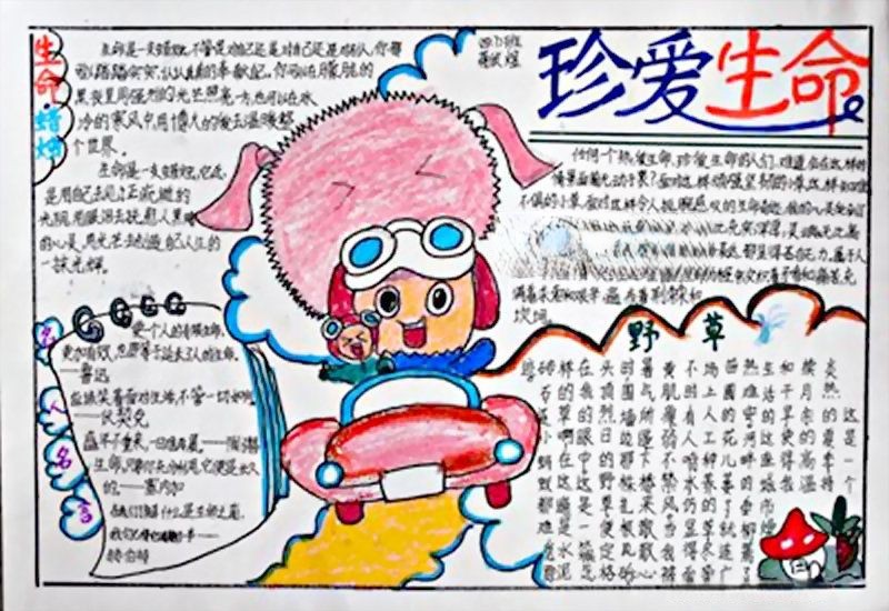 珍爱生命感受幸福手抄报 珍爱生命感受幸福手抄报
