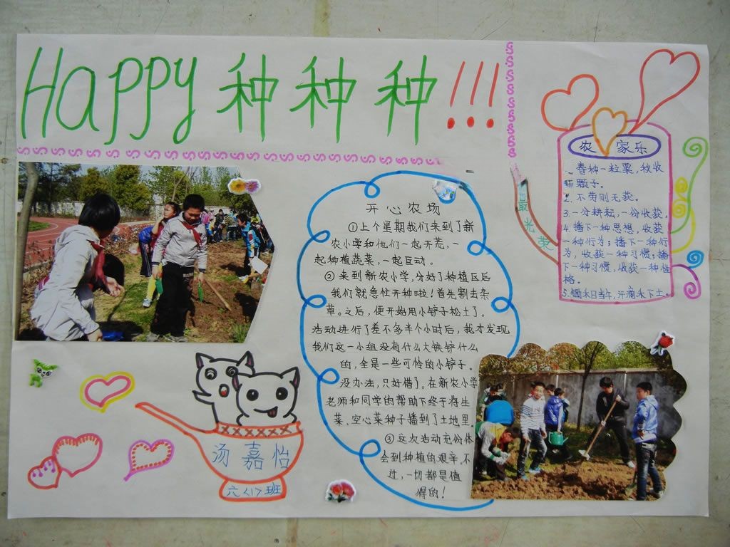 种植手抄报图片大全_燃烧的蔬菜手抄报 种植手抄报图片大全_燃烧的蔬菜手抄报