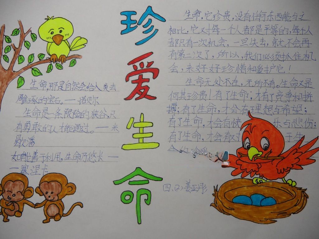 四年级珍爱生命手抄报 四年级珍爱生命手抄报