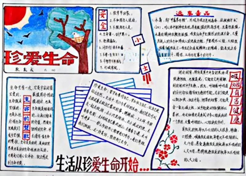 珍爱生命感受幸福手抄报 珍爱生命感受幸福手抄报