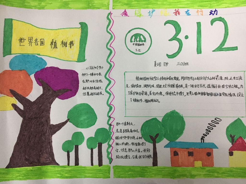 爱护树木守护家园手抄报 爱护树木守护家园手抄报
