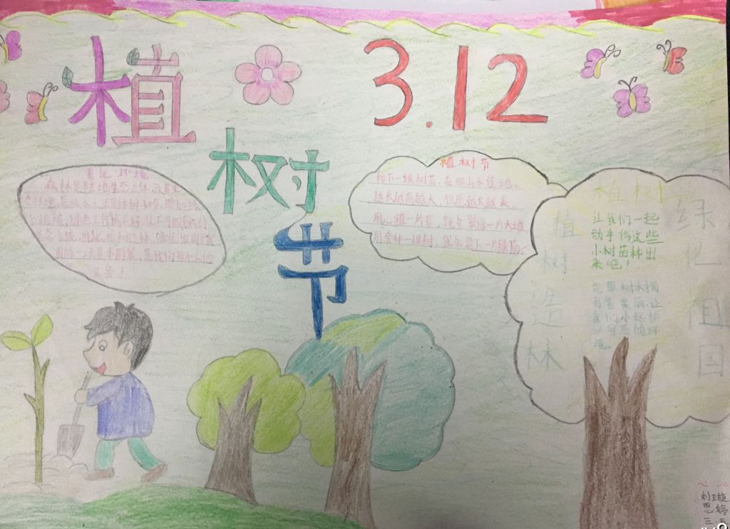 爱护树木守护家园手抄报 爱护树木守护家园手抄报