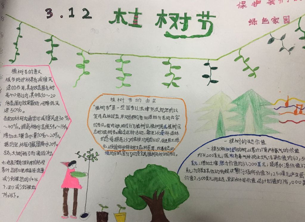 爱护树木守护家园手抄报 爱护树木守护家园手抄报
