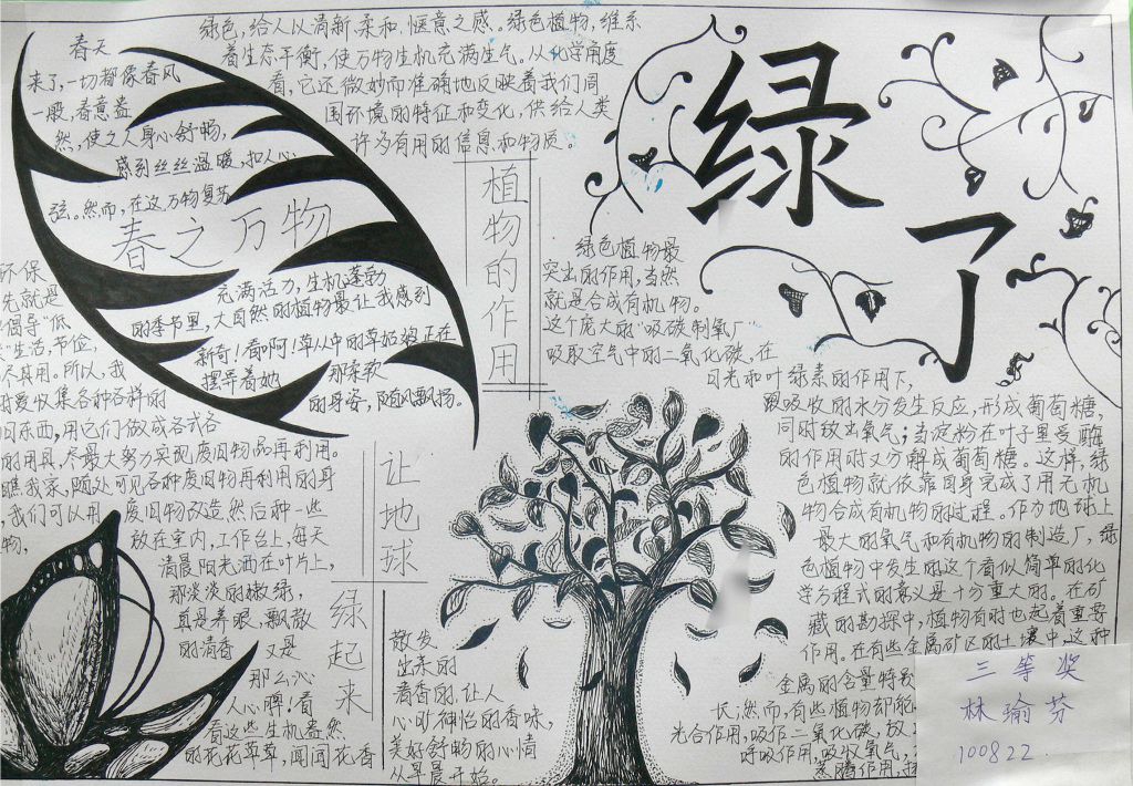 植树节争做护绿小使者手抄报 植树节争做护绿小使者手抄报