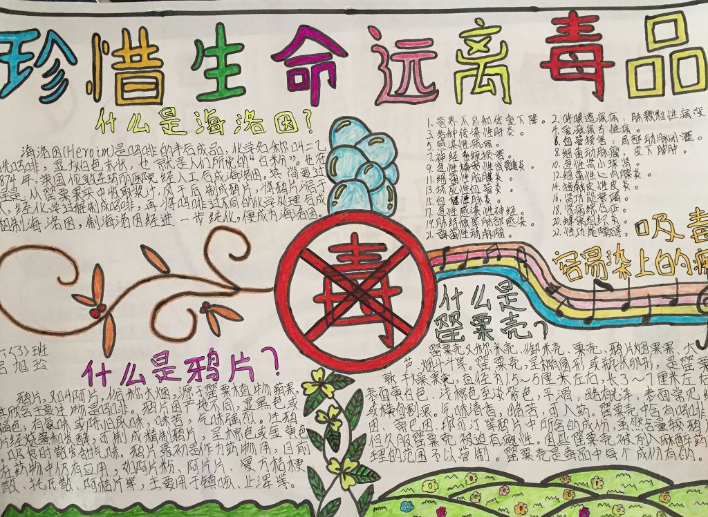 依法禁毒从我做起手抄报大全 依法禁毒从我做起手抄报大全