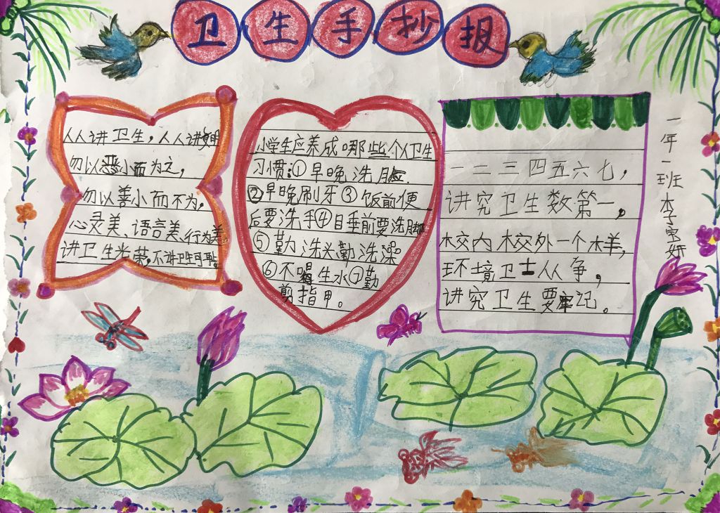 爱国卫生从我做起手抄报 爱国卫生从我做起手抄报