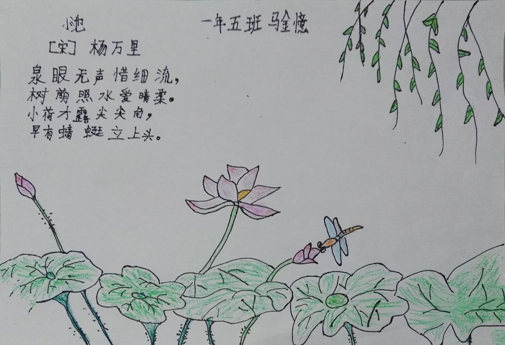 一年级《小池》手抄报图片 一年级《小池》手抄报图片
