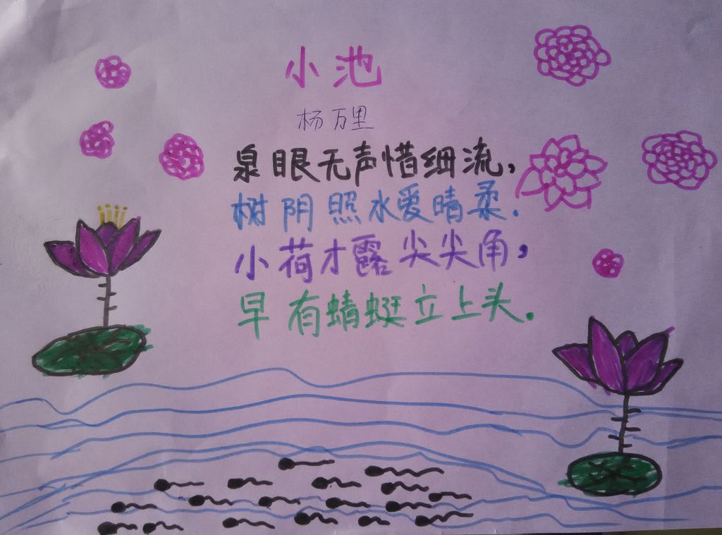 一年级《小池》手抄报图片 一年级《小池》手抄报图片
