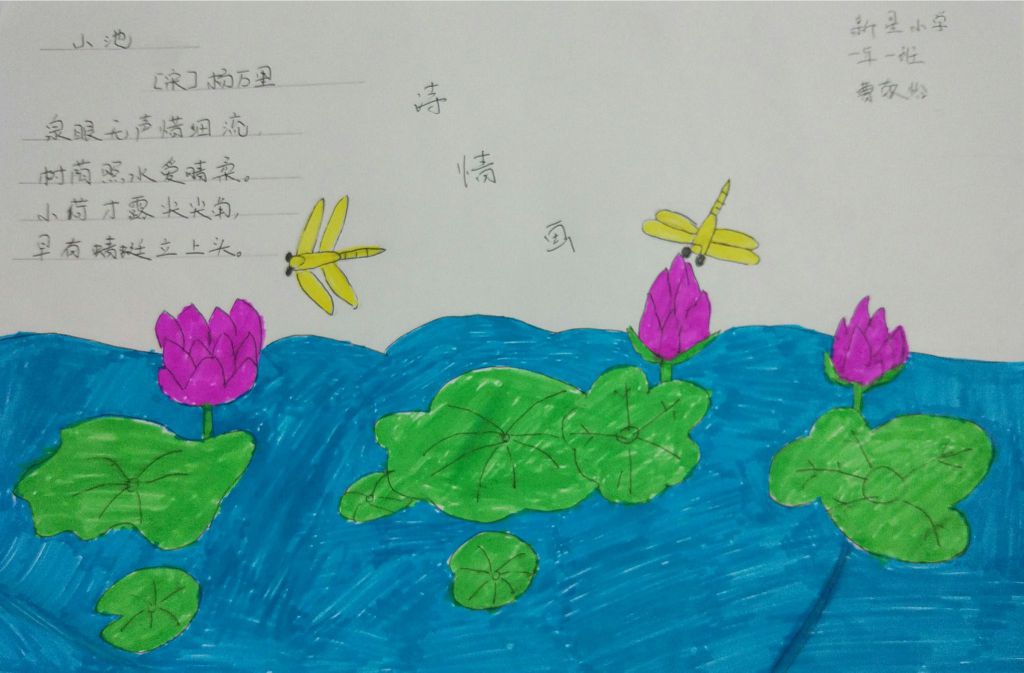 一年级《小池》手抄报图片 一年级《小池》手抄报图片