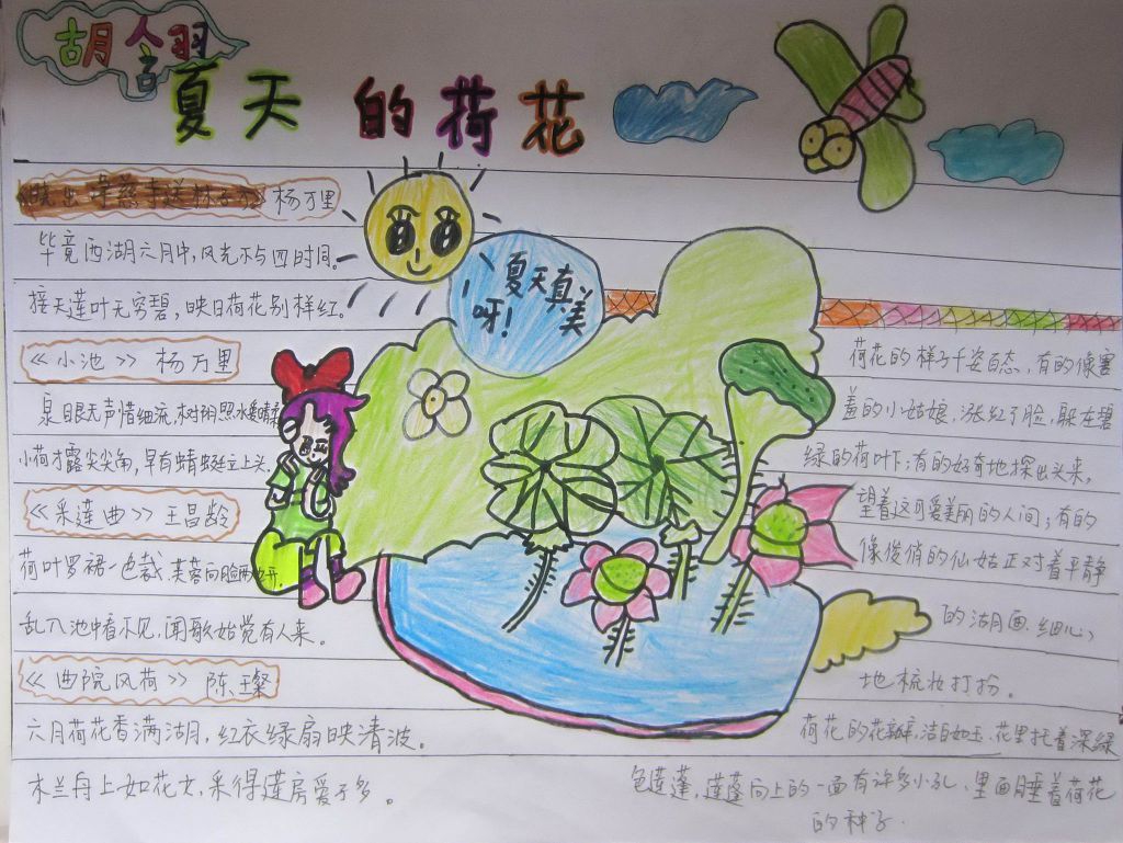 夏日荷花手抄报