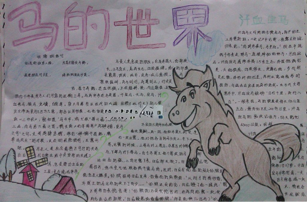 初一马的世界手抄报图片大全 初一马的世界手抄报图片大全