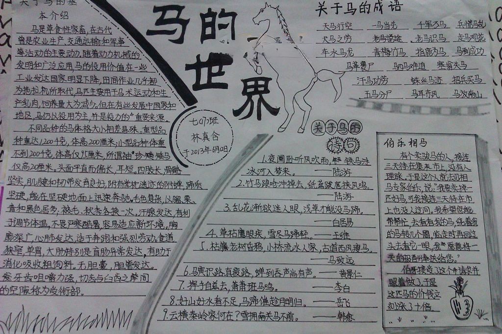 初一马的世界手抄报图片大全 初一马的世界手抄报图片大全