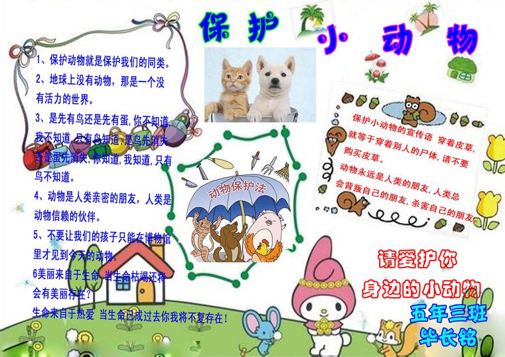 爱护小动物手抄报版面设计图 爱护小动物手抄报版面设计图