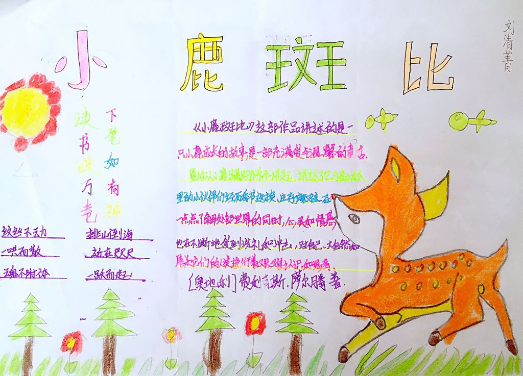 三年级寒假读书手抄报作品展 三年级寒假读书手抄报作品展