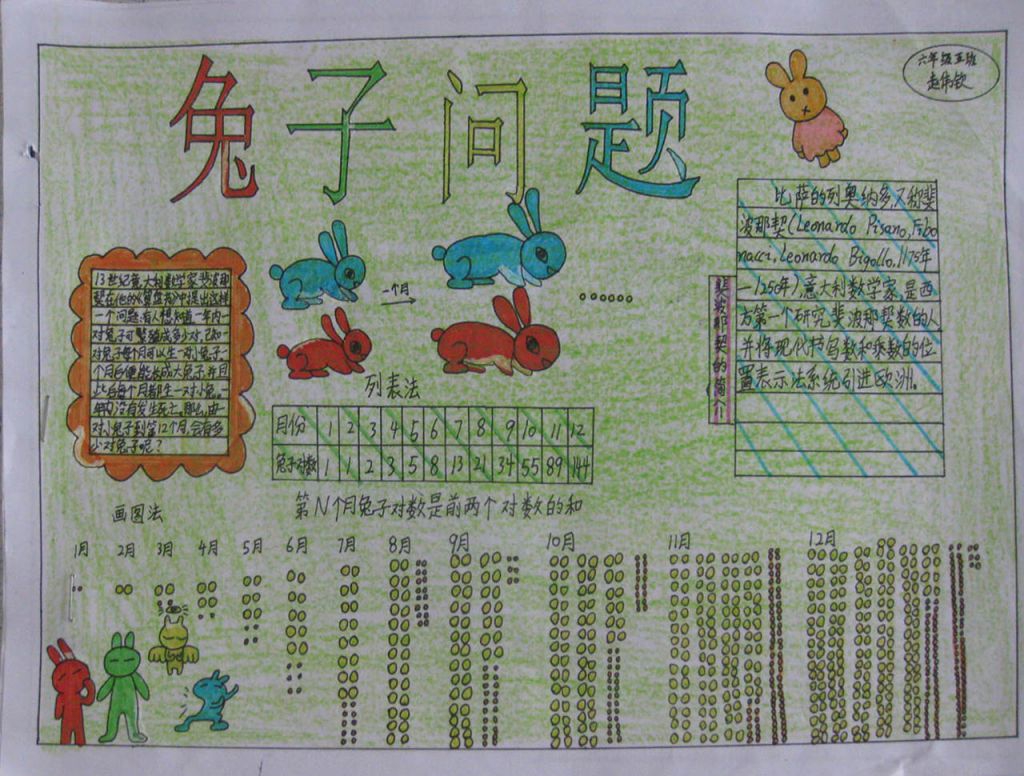 裴波那契数列手抄报 裴波那契数列手抄报