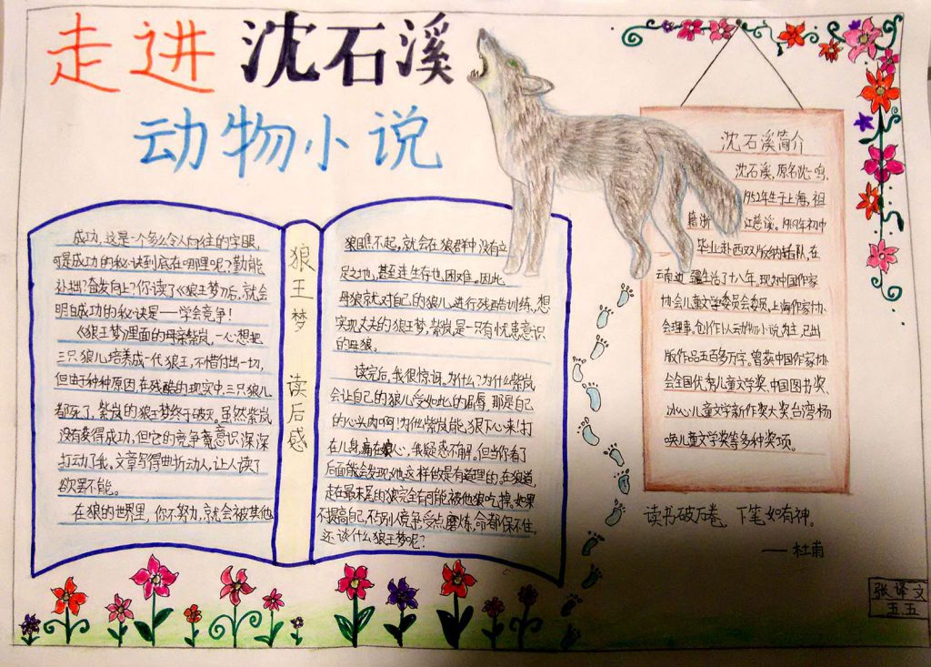 走进沈石溪动物小说手抄报 走进沈石溪动物小说手抄报
