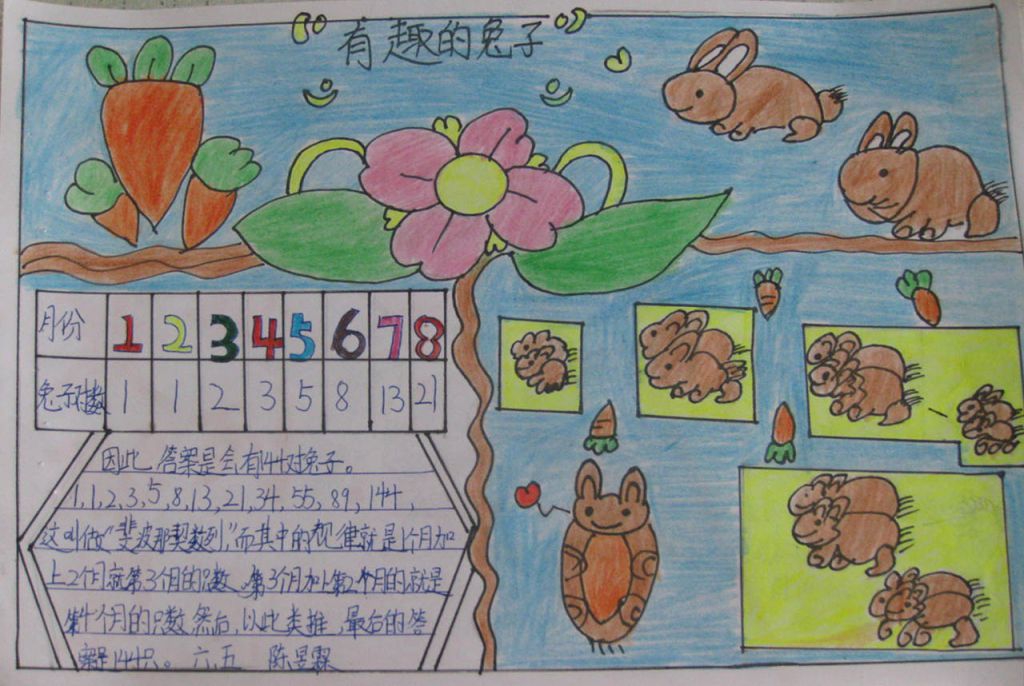 裴波那契数列手抄报 裴波那契数列手抄报