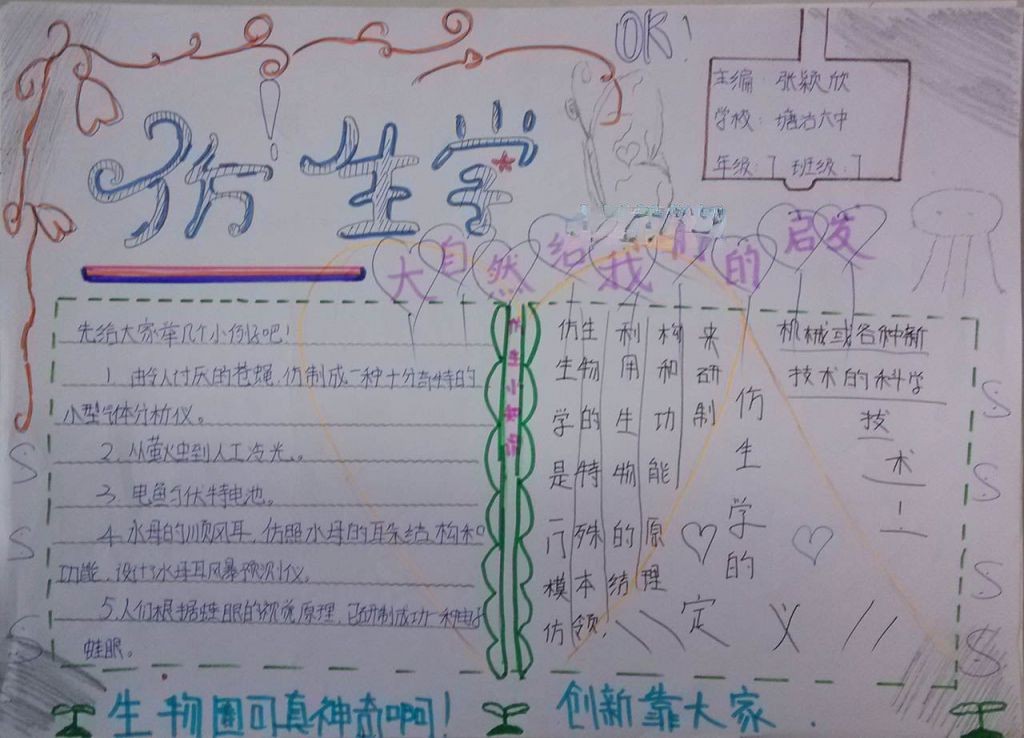 仿生科技手抄报图片大全 仿生科技手抄报图片大全