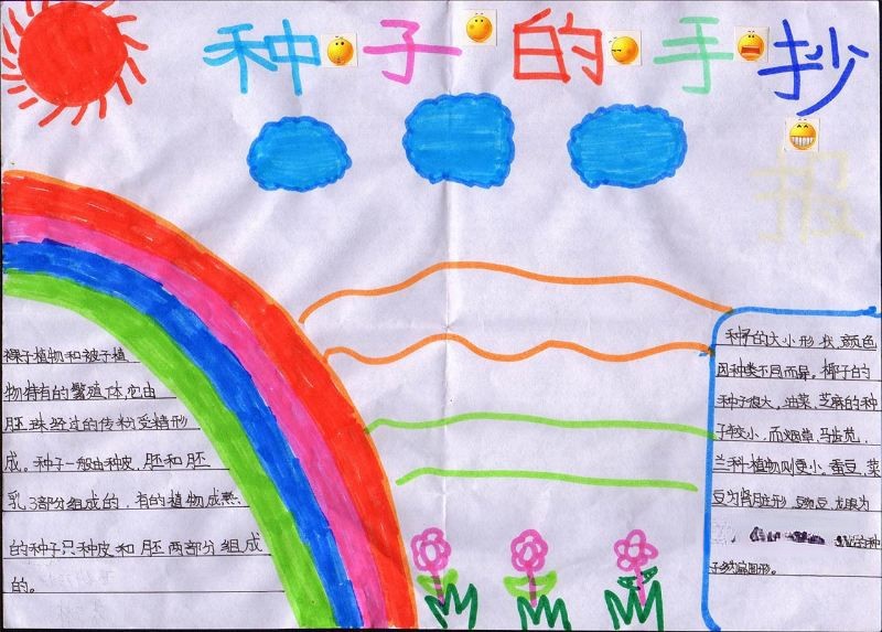 种子研究手抄报图片大全 种子研究手抄报图片大全