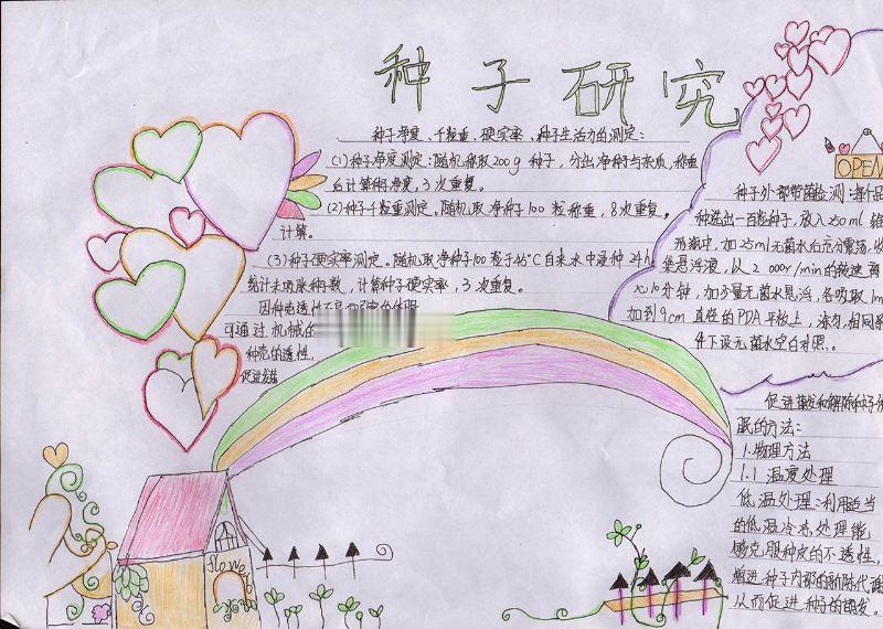 种子研究手抄报图片大全 种子研究手抄报图片大全