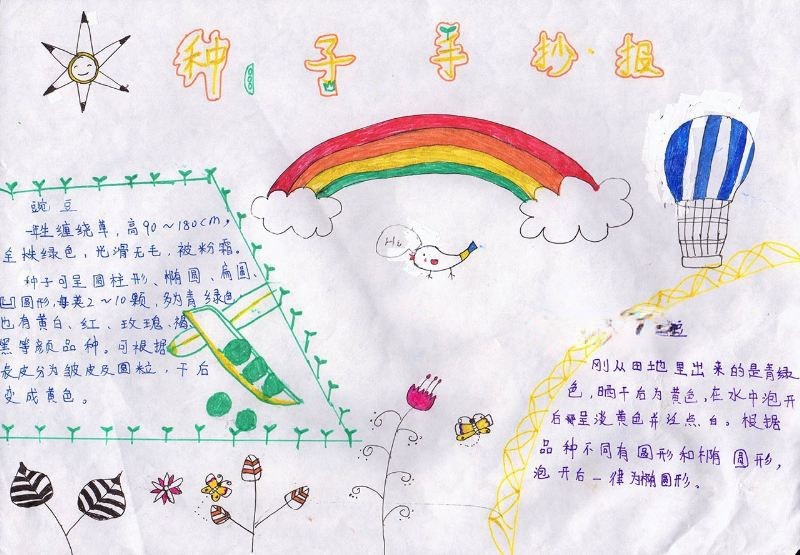 种子研究手抄报图片大全 种子研究手抄报图片大全