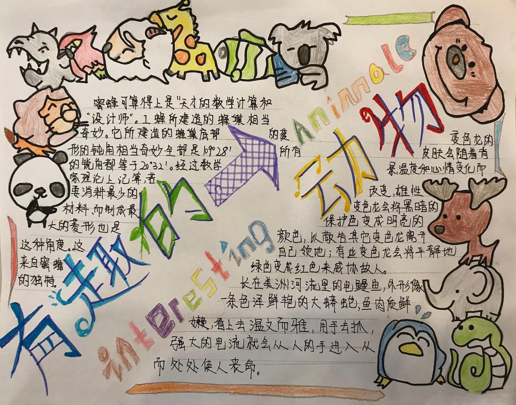 有趣的动物手抄报版面设计图 有趣的动物手抄报版面设计图