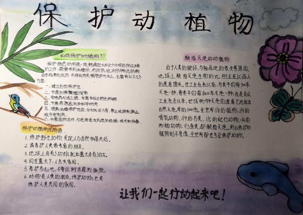 保护动植物手抄报图片,濒临灭绝的动植物 保护动植物手抄报图片,濒临灭绝的动植物